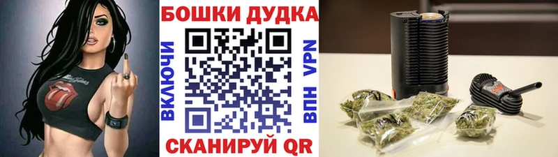 Каннабис конопля Мещовск